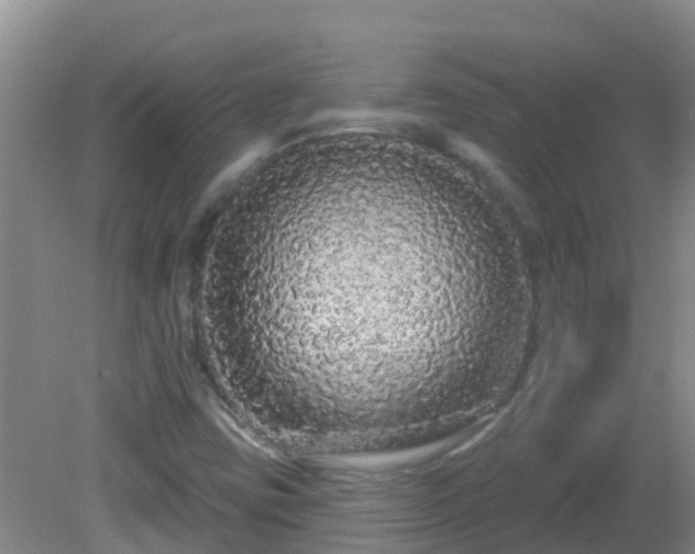 X0000081621403200701221216