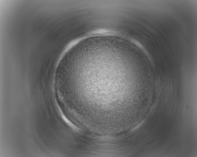 X0000081621421200701221216