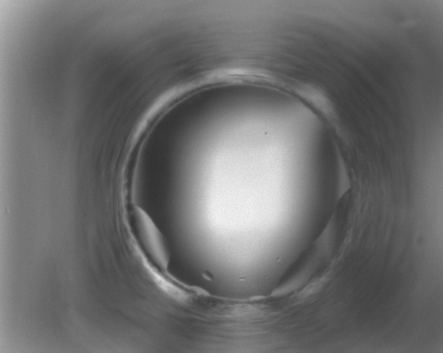 X0000081621430200701221216