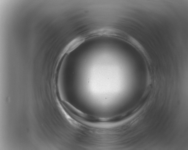 X0000081621434200701221216