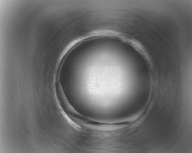 X0000081621438200701221216