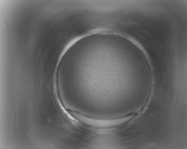 X0000081621440200701221217