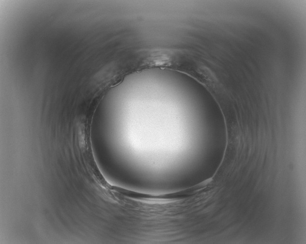 X0000081621442200701221216