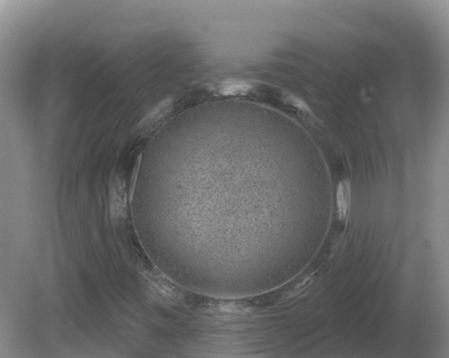 X0000081621443200701221216
