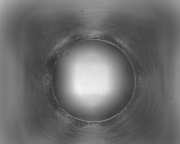 X0000081621447200701221216