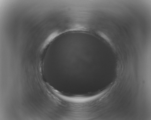 X0000081621455200701221215