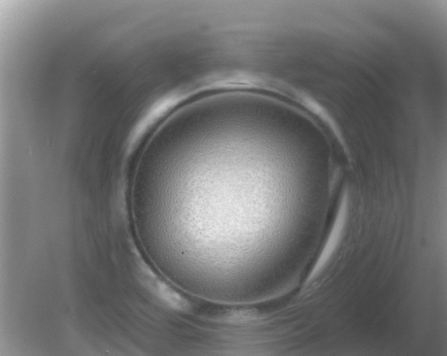 X0000081621464200701221215