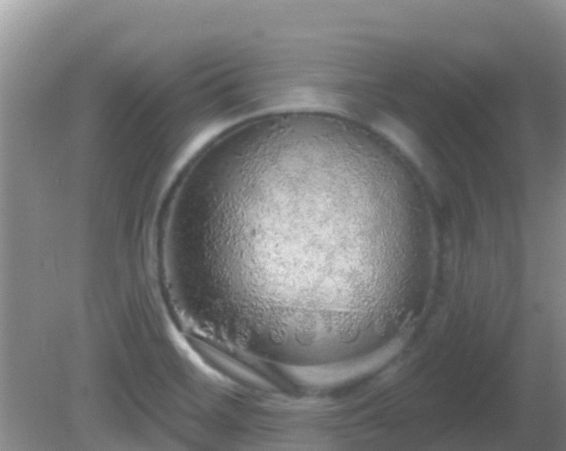 X0000081621468200701221215