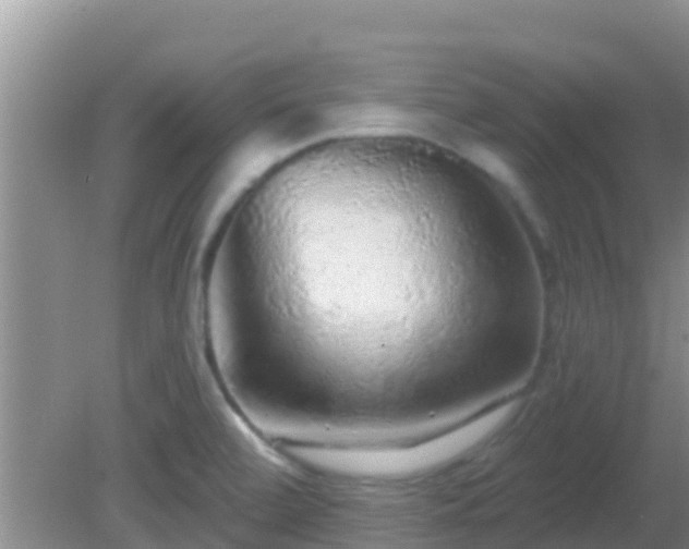 X0000081621472200701221215