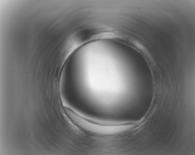 X0000081621473200701221215