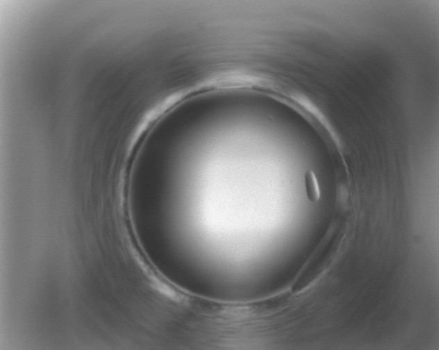 X0000081621477200701221215