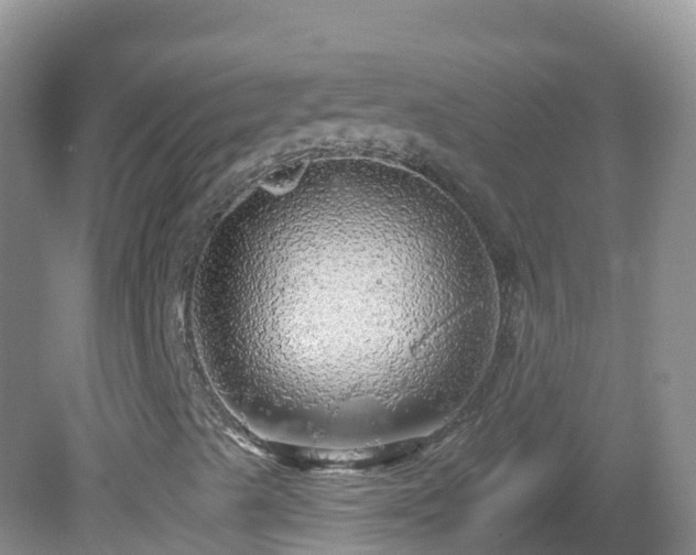 X0000081621489200701221214