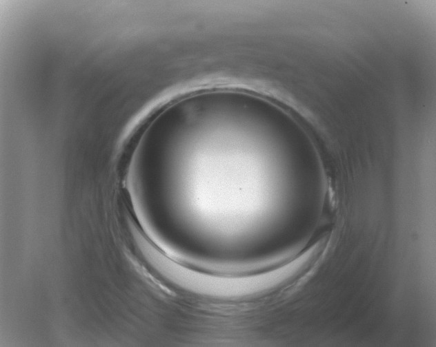 X0000081621502200701221214