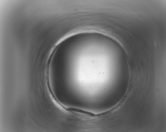 X0000081621526200701221215