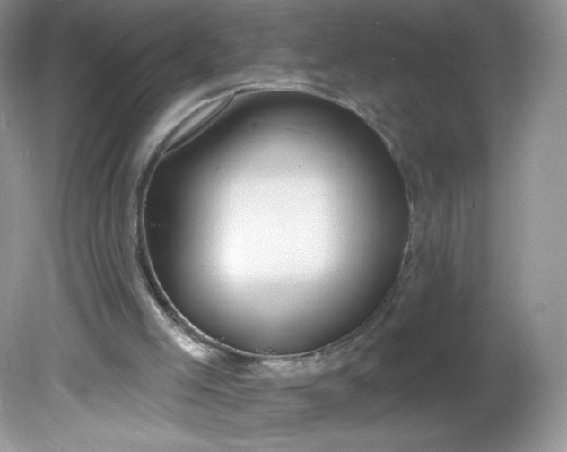 X0000081620005200701291505