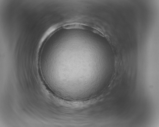 X0000081620006200701291505