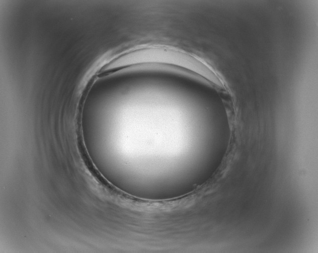 X0000081620007200701291505