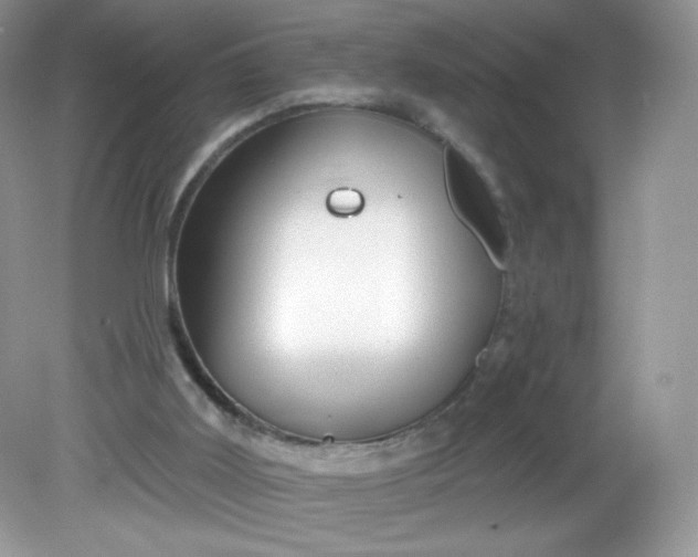 X0000081620011200701291505
