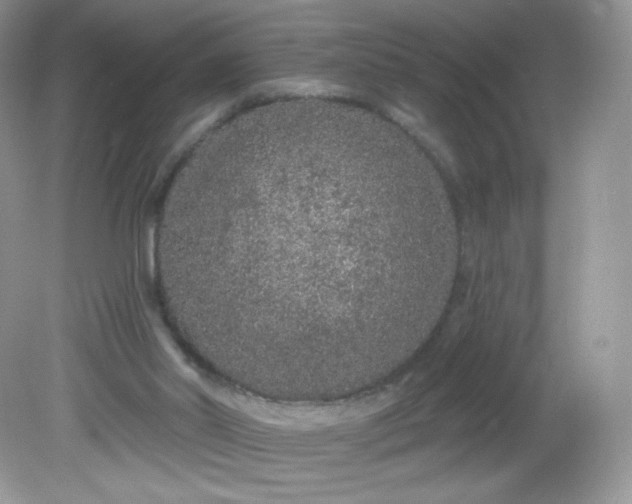 X0000081620014200701291505