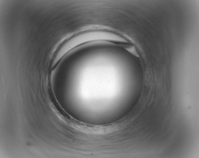 X0000081620015200701291505