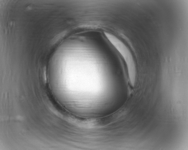 X0000081620020200701291504