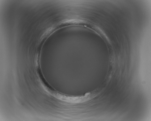 X0000081620023200701291504