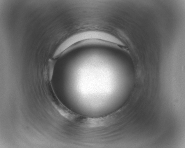 X0000081620025200701291504