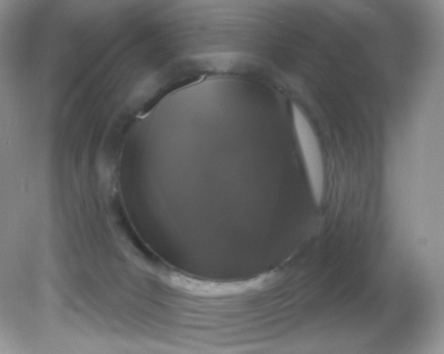 X0000081620031200701291504