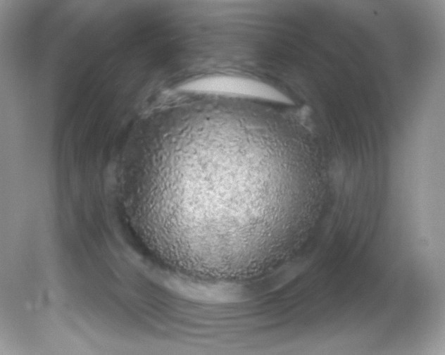 X0000081620032200701291504
