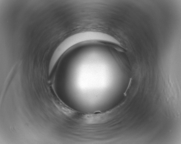 X0000081620033200701291504