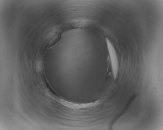 X0000081620035200701291504