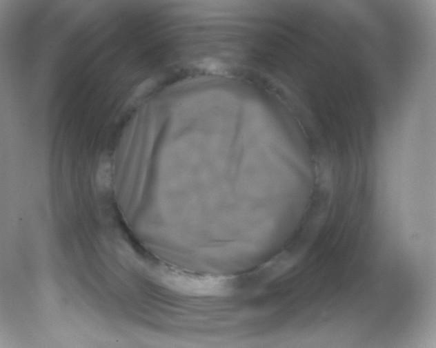 X0000081620036200701291504