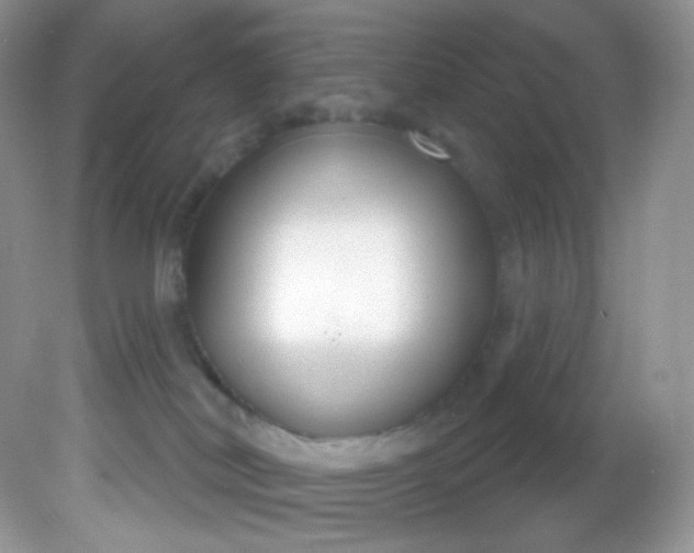 X0000081620038200701291504