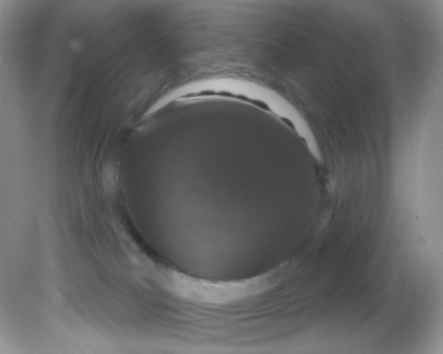X0000081620039200701291504