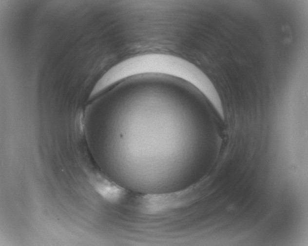 X0000081620041200701291504