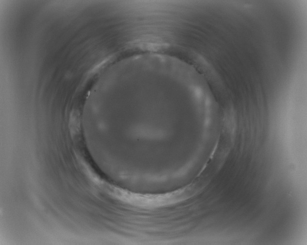 X0000081620043200701291504