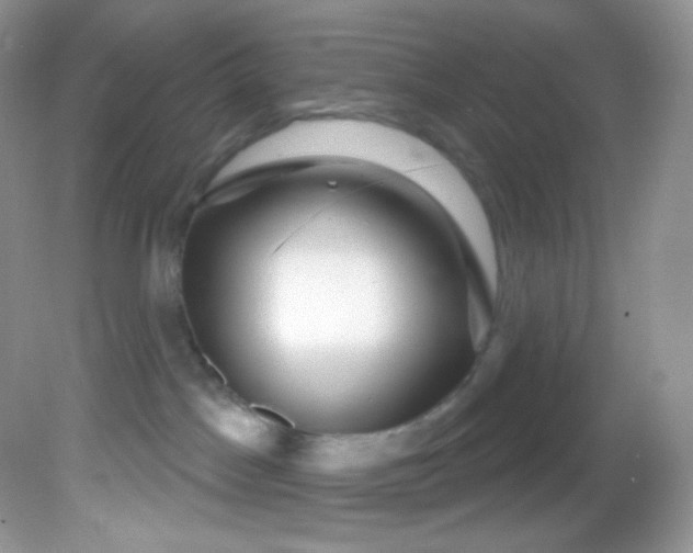 X0000081620045200701291504