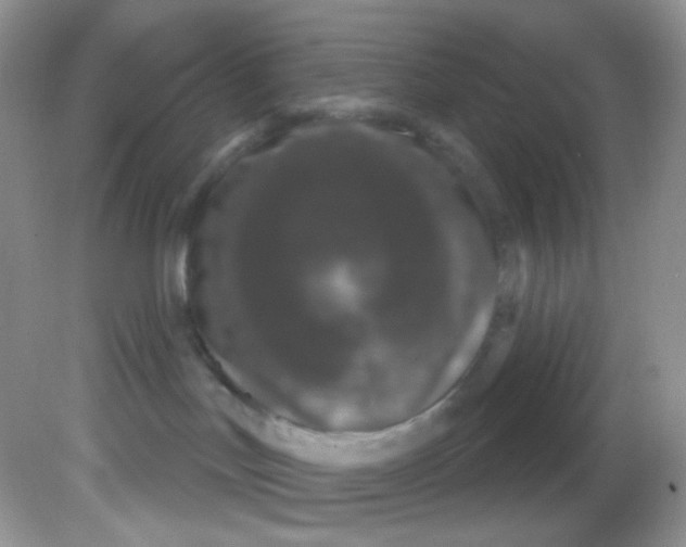 X0000081620047200701291504