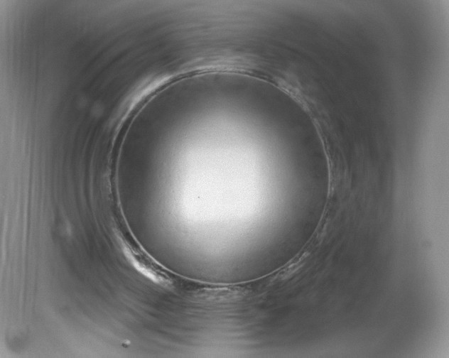 X0000081620050200701291503