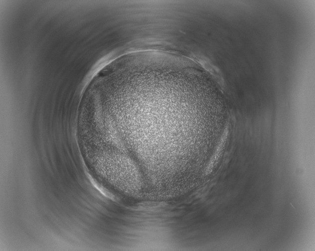 X0000081620051200701291503