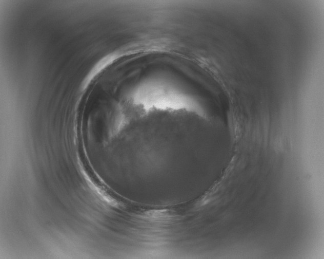 X0000081620054200701291503