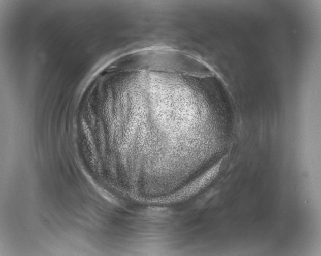 X0000081620055200701291503