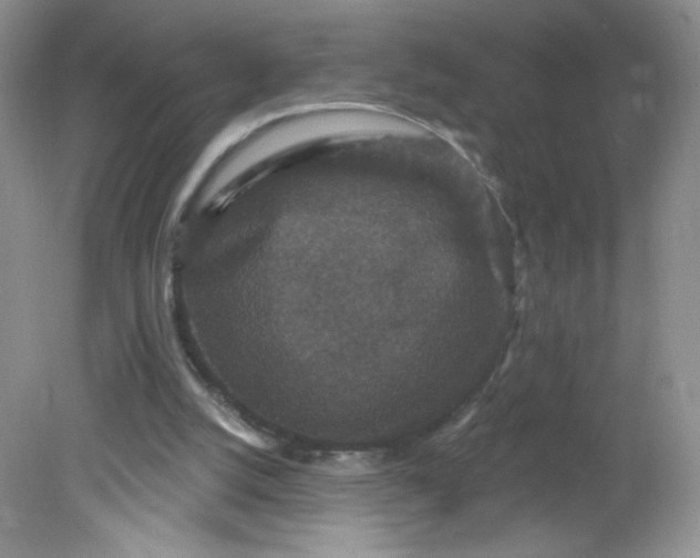 X0000081620056200701291503