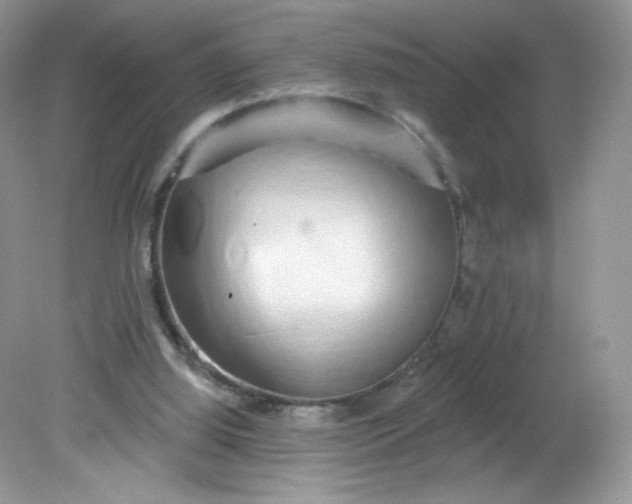 X0000081620060200701291503