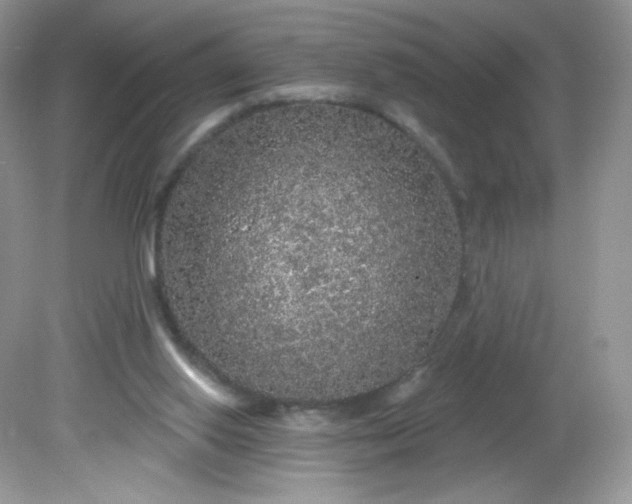 X0000081620062200701291503