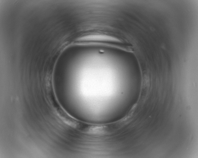 X0000081620078200701291504