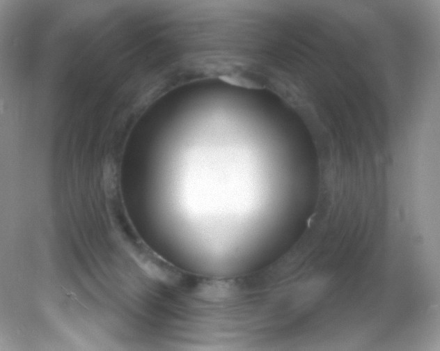 X0000081620079200701291504