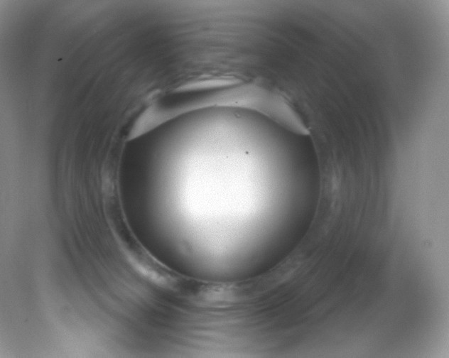 X0000081620084200701291504
