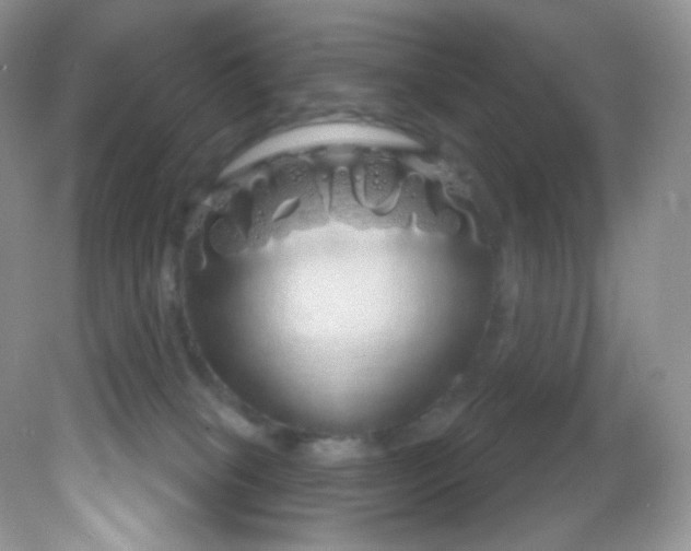 X0000081620085200701291504