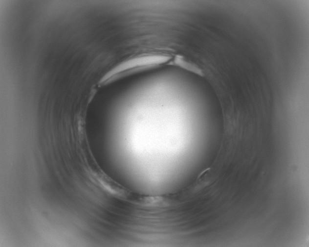 X0000081620087200701291504